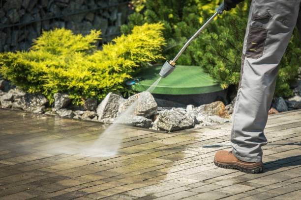 Best Pool Deck Cleaning  in Port Labelle, FL